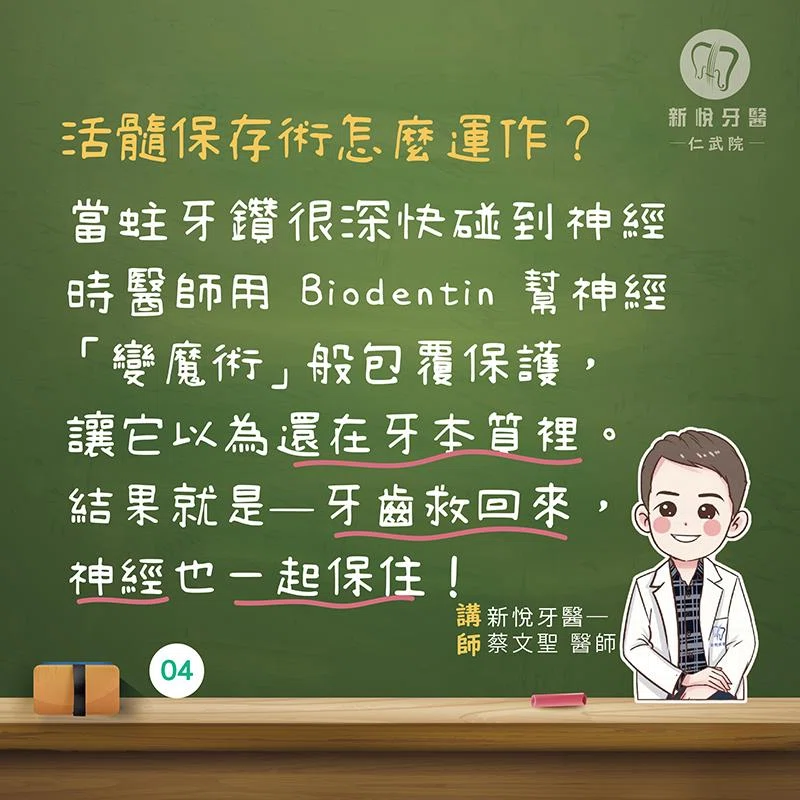 牙齒快斷氣?抽神經太硬派? 活髓保存術來讓牙神經乖乖被騙 牙齒快斷氣?抽神經太硬派? 活髓保存術來讓牙神經乖乖被騙