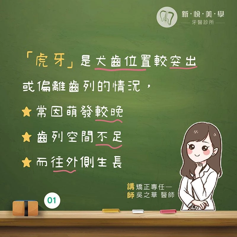 虎牙很可愛，要矯正嗎？認識虎牙、犬齒功能與矯正評估
