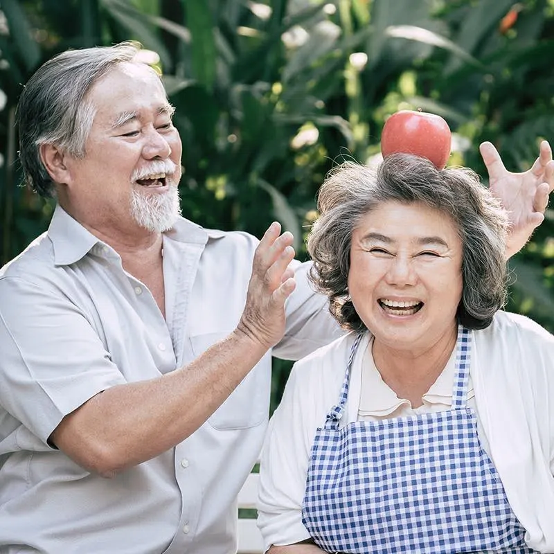 一日重建All on 4